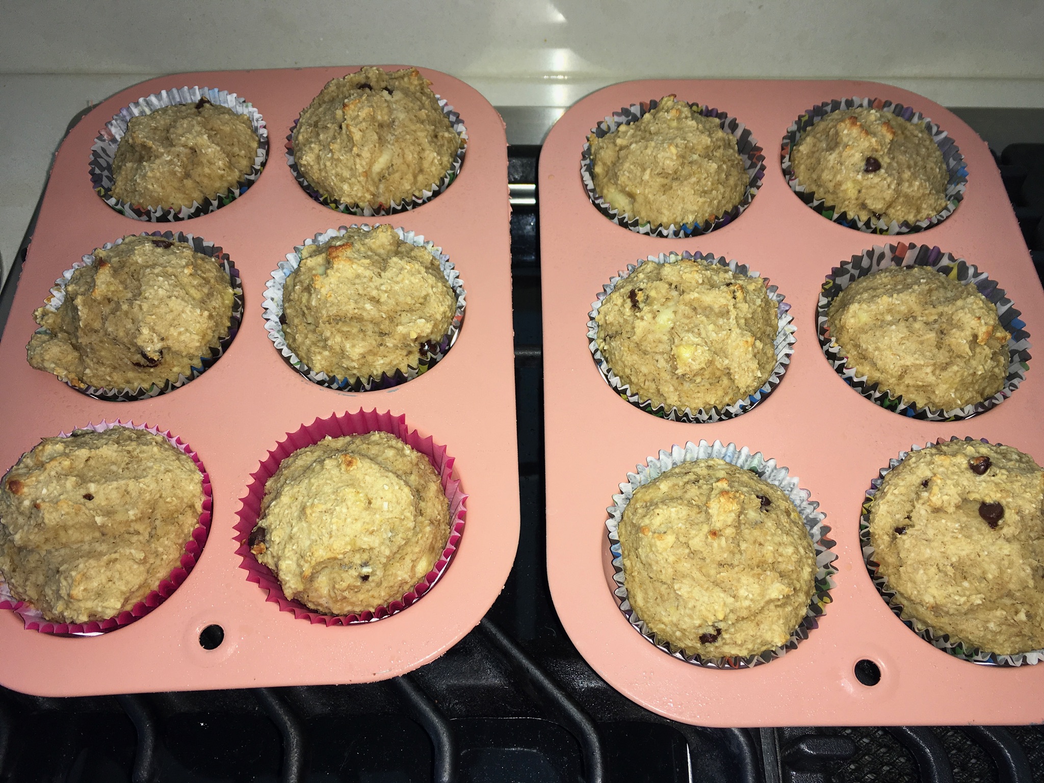 Quest for the Perfect Protein Muffin – Coach Fit Mom